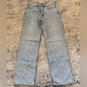 Aritzia Denim Forum Light Blue 90’s Iggy Lo-Rise Baggy Jean